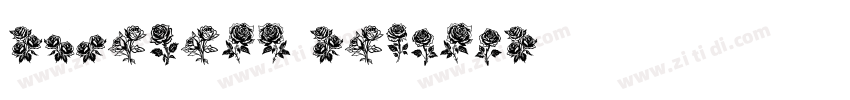 RoseVelt regular字体转换